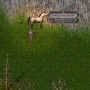 ekran_goeruentuesue_2024-10-09_003950.png