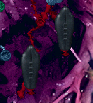 sharex_kqkiu1buys.png sharex_kqkiu1buys.png